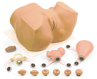 Iud Trainer < simulaids #1912 
