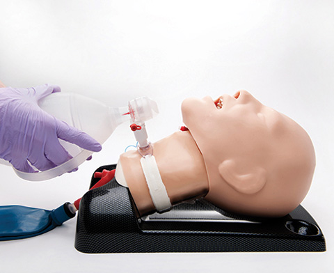 AirSim Advance Combo Bronchi Airway Manikin < TruCorp #CTC95100 