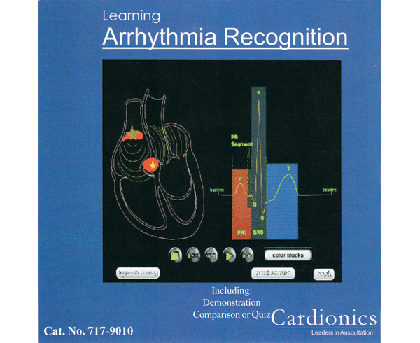 Randy 9000 Replacement Head < simulaids #9010 