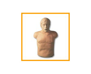 Brad CPR Manikin, Ethnic < simulaids #2800 E 