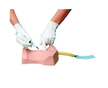 Deluxe Cricothyrotomy Trainer < simulaids #135 