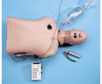 Life Form Deluxe CRiSis Torso Manikin < Nasco #LF03958U 