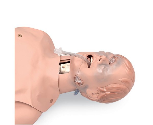 Critical Airway Management Trainer < simulaids #060 