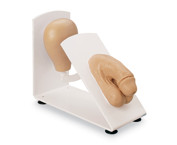 Male & Female Cath Trainer Set < simulaids #1933 