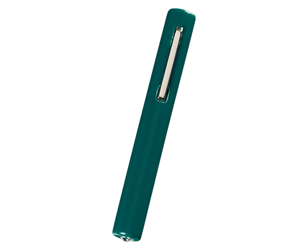 Disposable Penlight, Hunter < Prestige Medical #200-HUN 