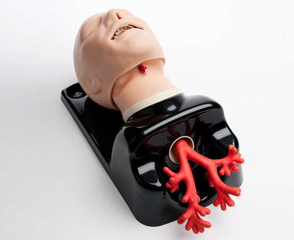 AirSim Advance Bronchi Airway Manikin < TruCorp #AA95100 