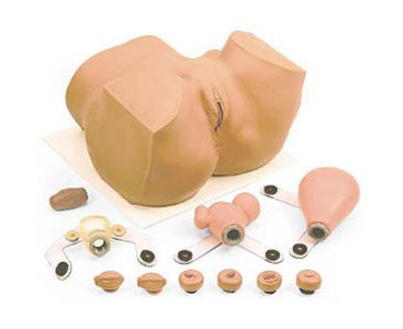 Eva I Pelvic Exam Simulator < simulaids #1900 