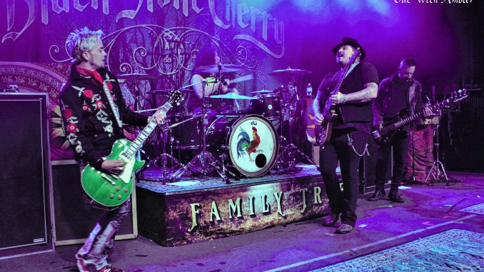 Black Stone Cherry