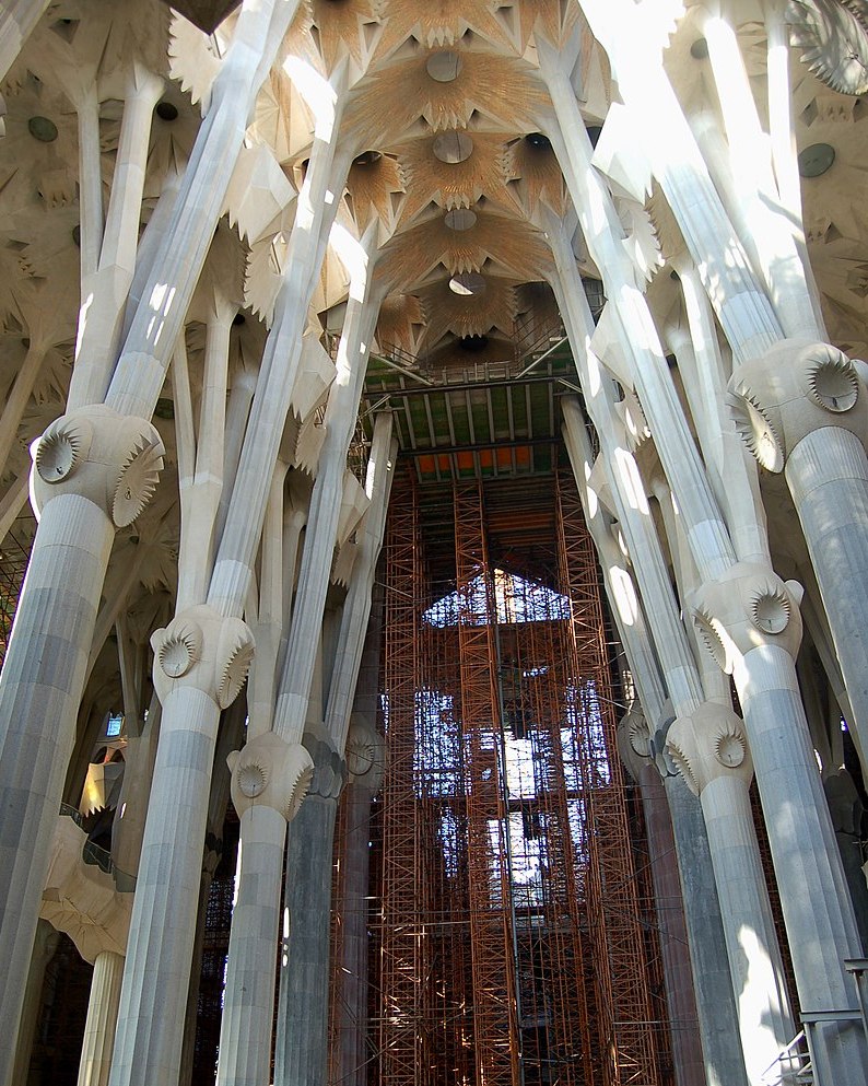 Biomorphism