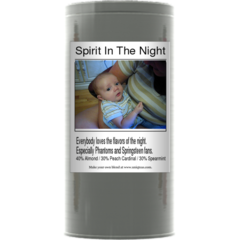 Spirit In The Night