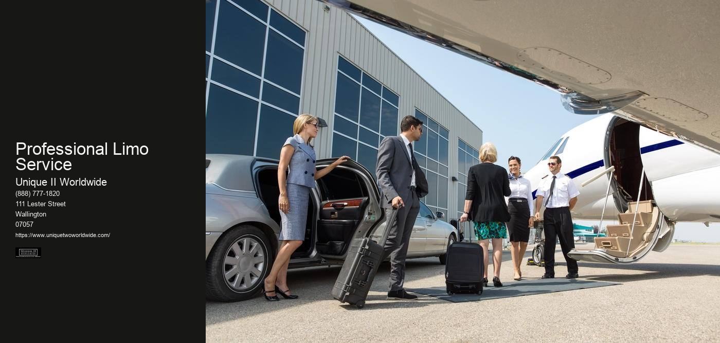 Professional Limo Service