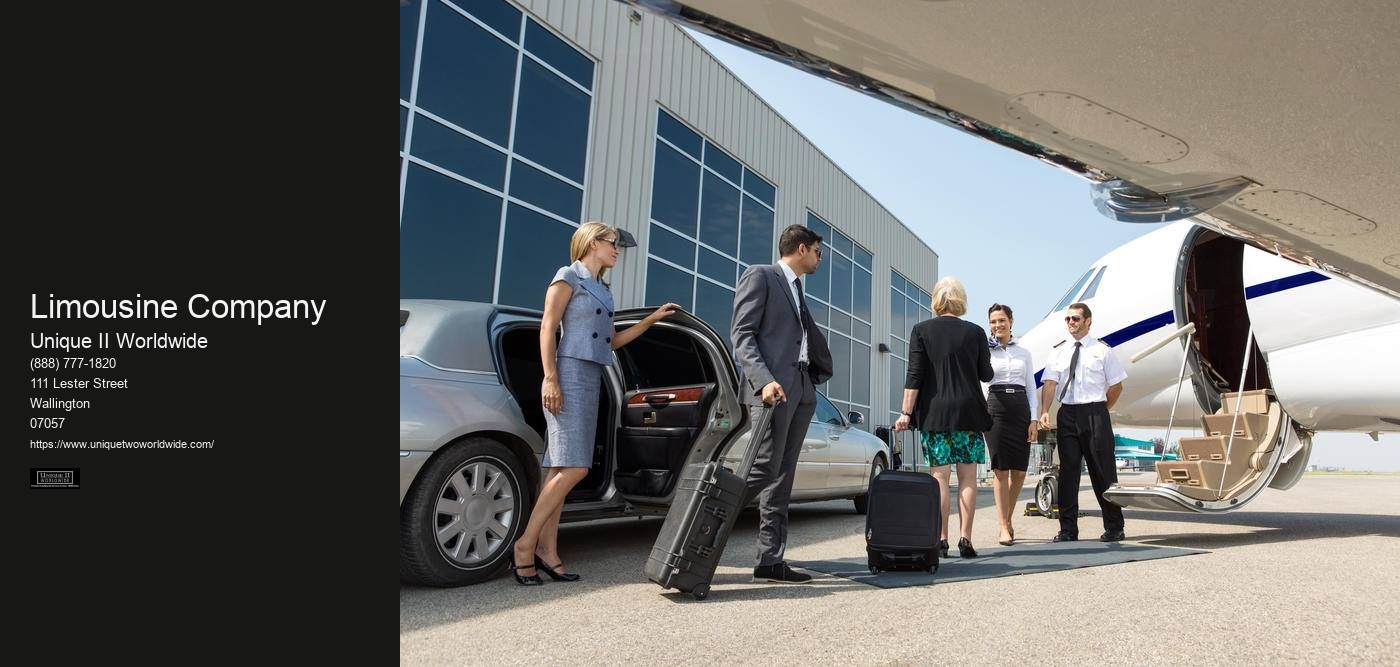 Limousine Company