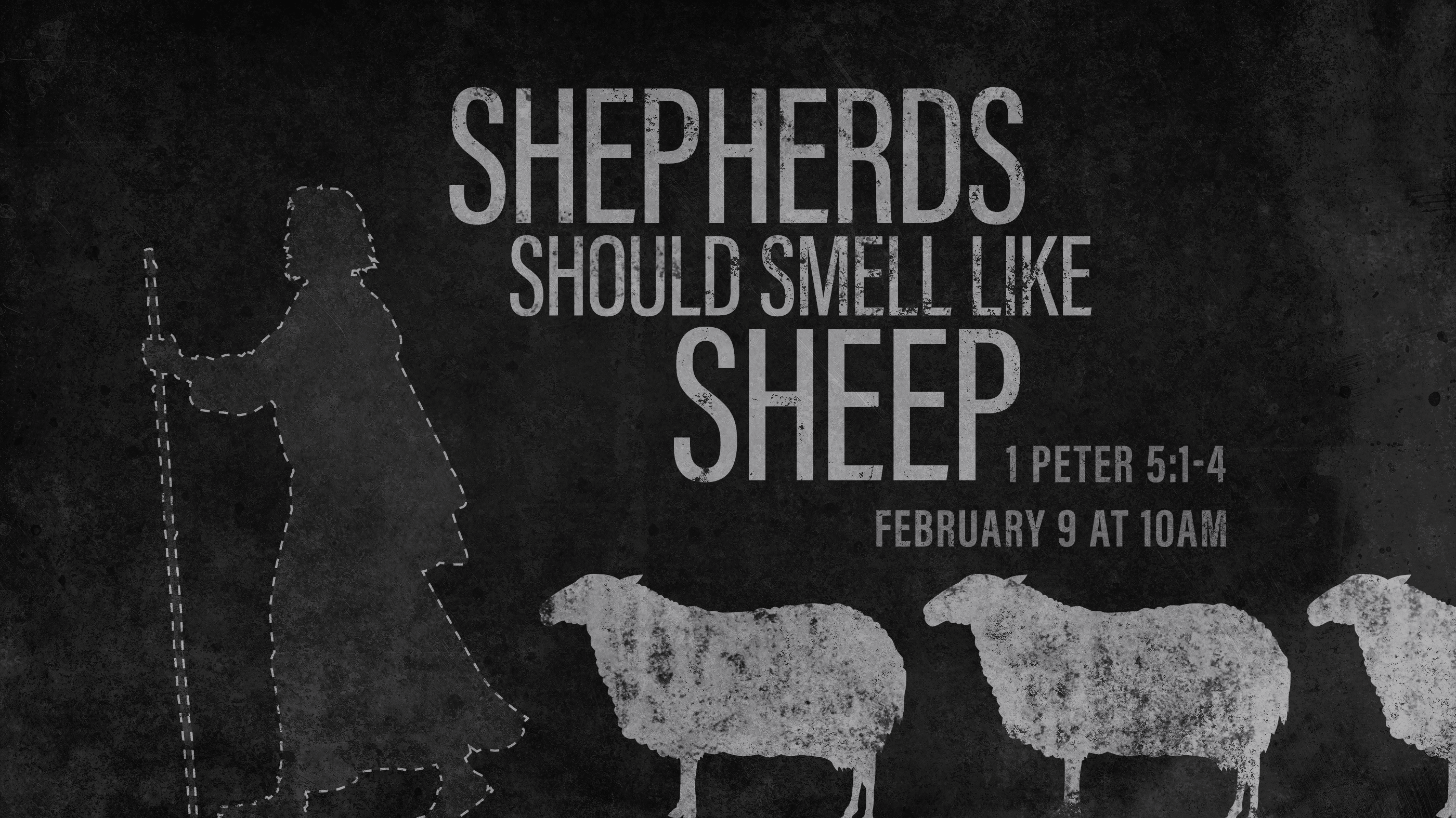 Shepherds Should Smell Like Sheep University Church of Christ