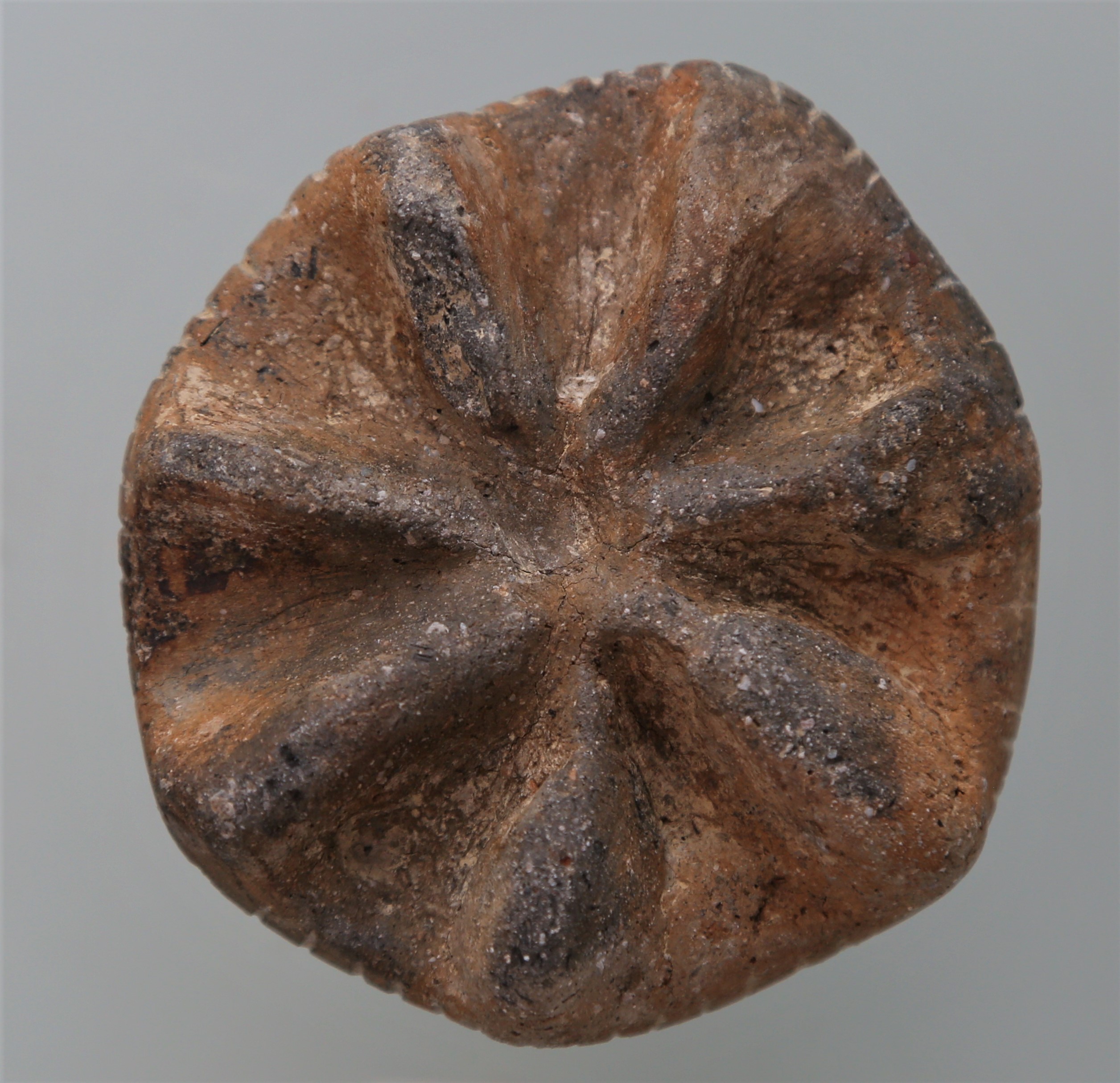 İzmir'de Kültürel Mirasın Korunması İçin Sivil Toplum Kuruluşları Bir Araya Geliyor