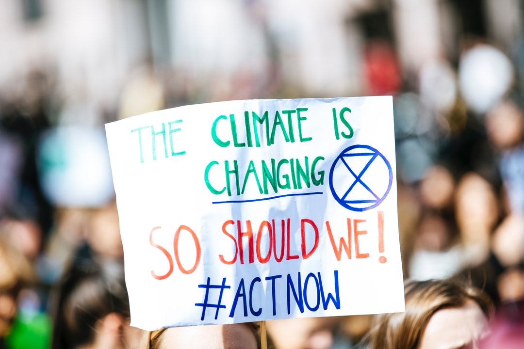 Bir iklim krizi eyleminden çekilen fotoğraf, pankartta "Climate is changing so should we" yazıyor.