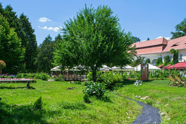 Olt River