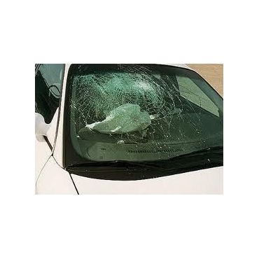 Broken windshield before