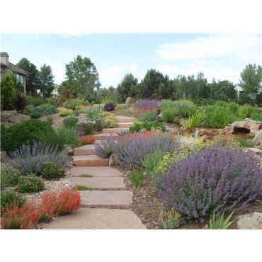 INSPIRED ENGLISH LANDSCAPES & LIGHTING