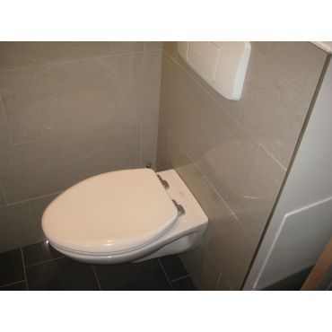 wallmount toilet
