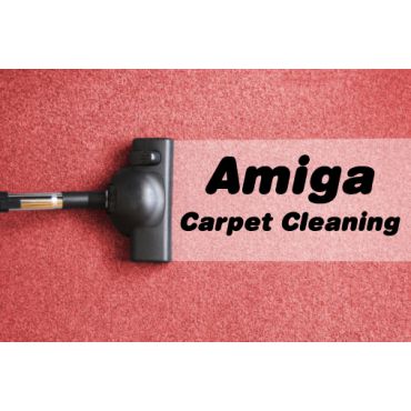 Amiga Carpet Cleaning logo