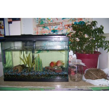 Science table.