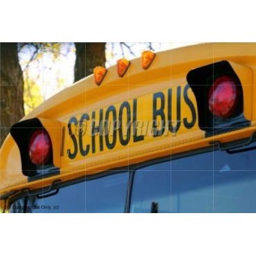 School Bus