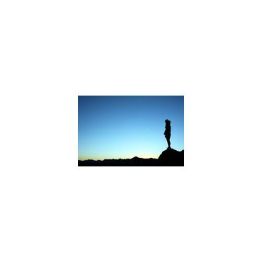 IPP looks out for you