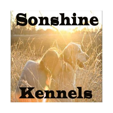 Sonshine Kennels PROFILE.logo