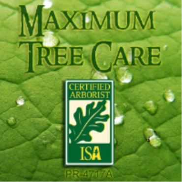 Maximum Tree Care logo