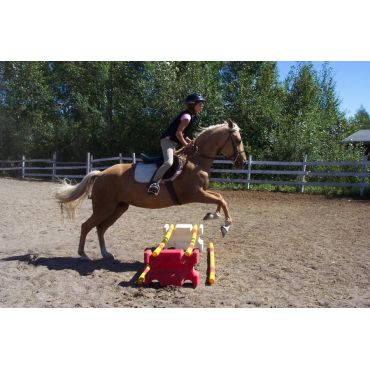 Riding Lessons- Geraldton