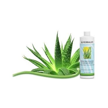 Aloe