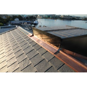 Slate, Copper, Birdproofing