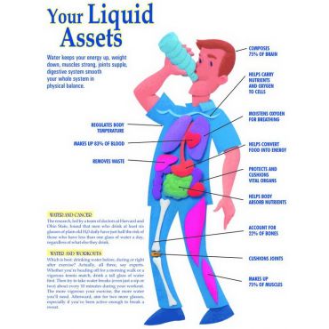 Water and your Health