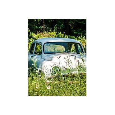 Is your current ride pusing up daisies?