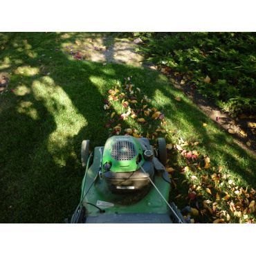 Fall cleanup