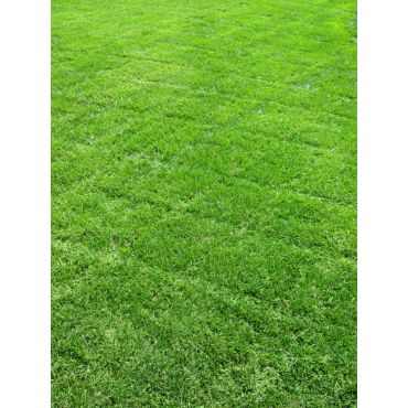 a customer's lawn