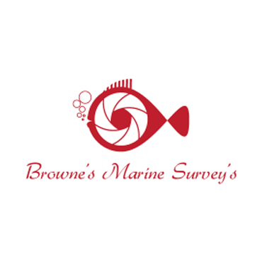 Browne's Marine Surveys PROFILE.logo