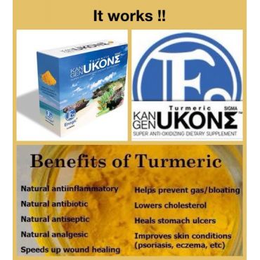 Kangen UkonƩ Turmeric Supplement