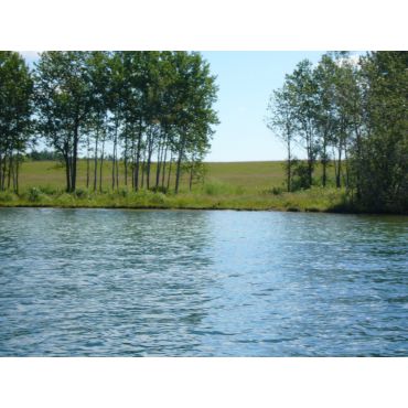 Water view of development