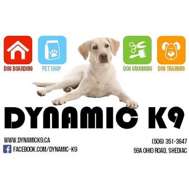 Dynamic K9 logo