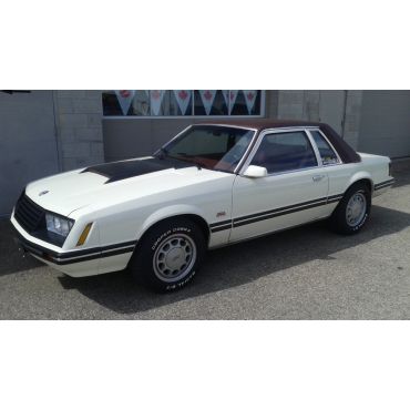 1979 Mustang, 351 cid, 5 spd.