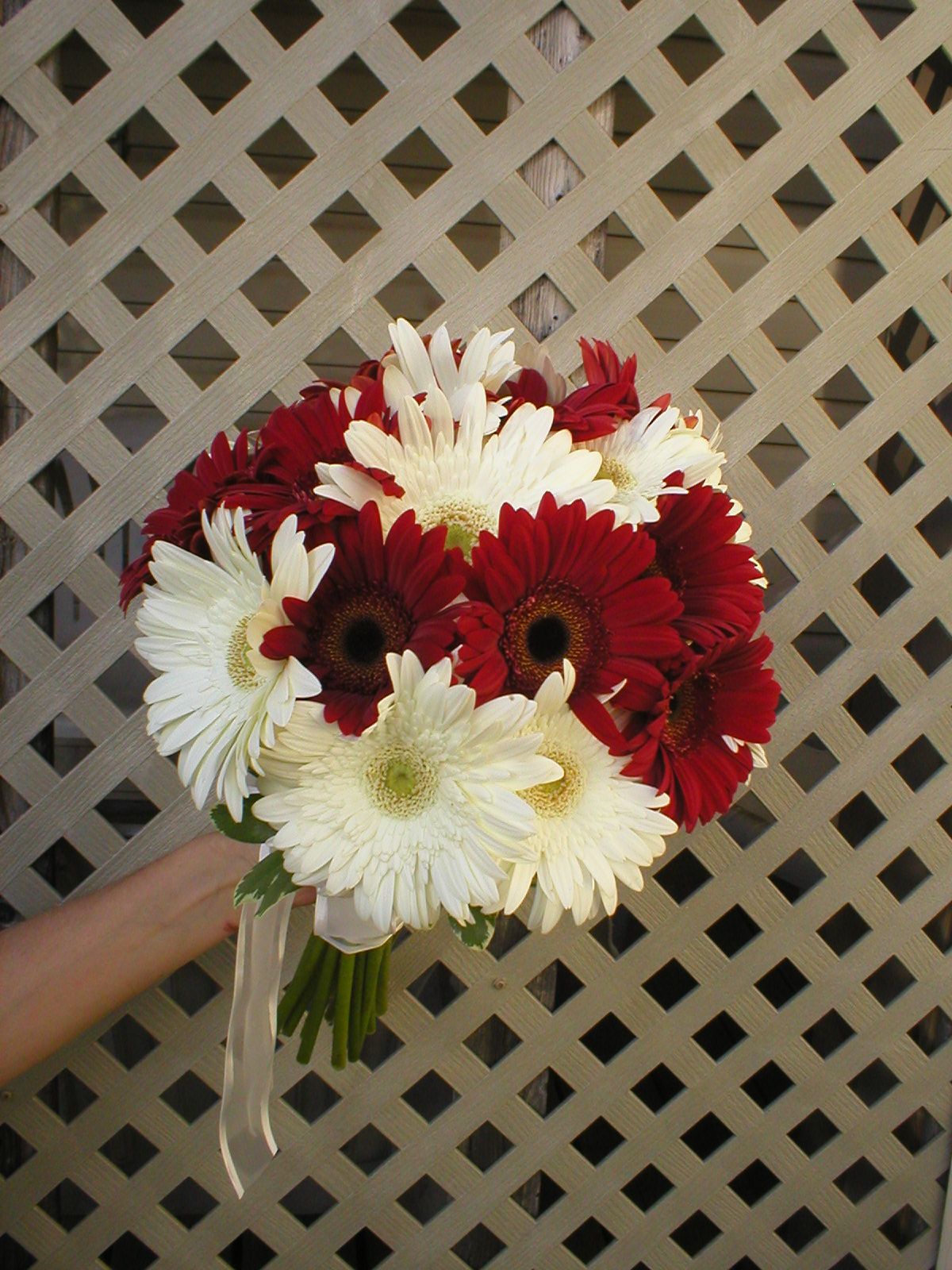 Fleuriste Panier de Fleurs inc. in Mascouche, Quebec 4504742092