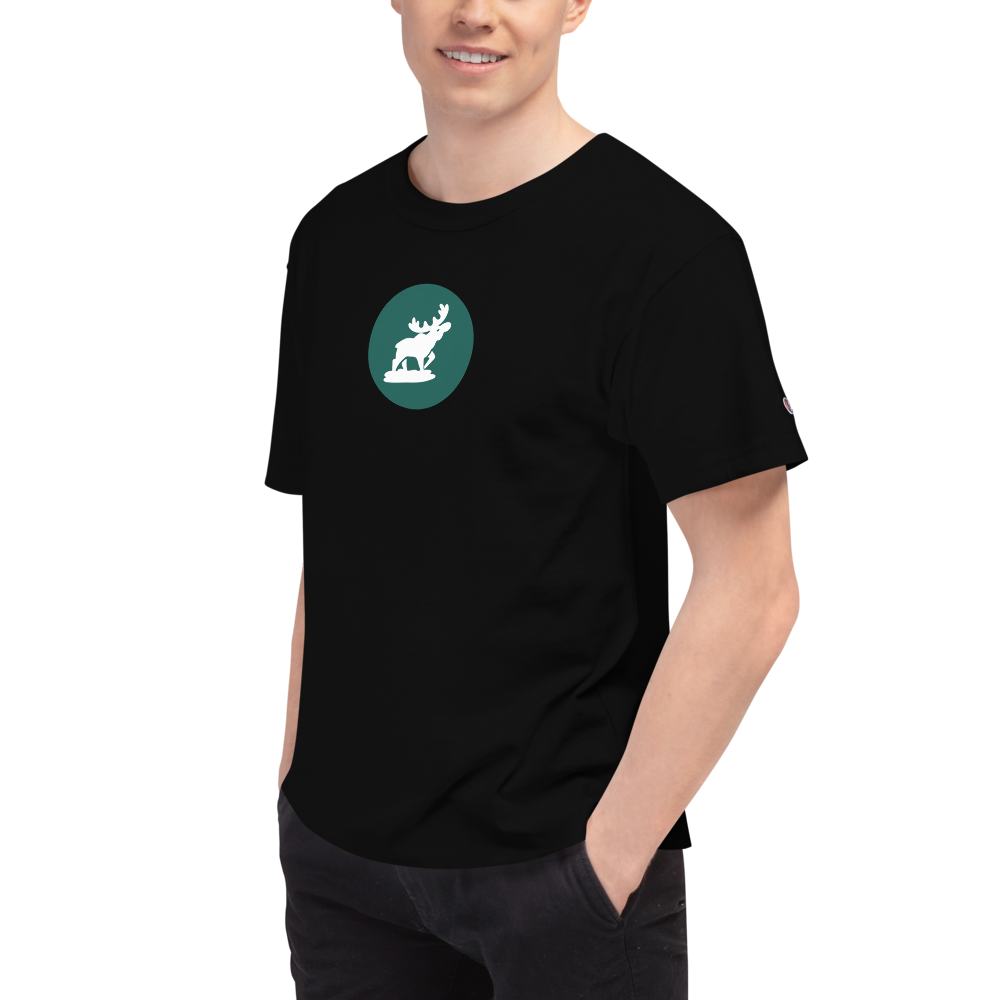Men's Champion T-Shirt — view 4