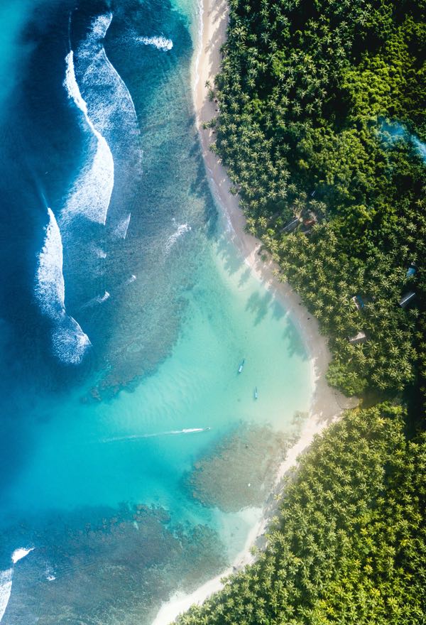 aerial view of a beautiful blue ocean shoreline and green trees