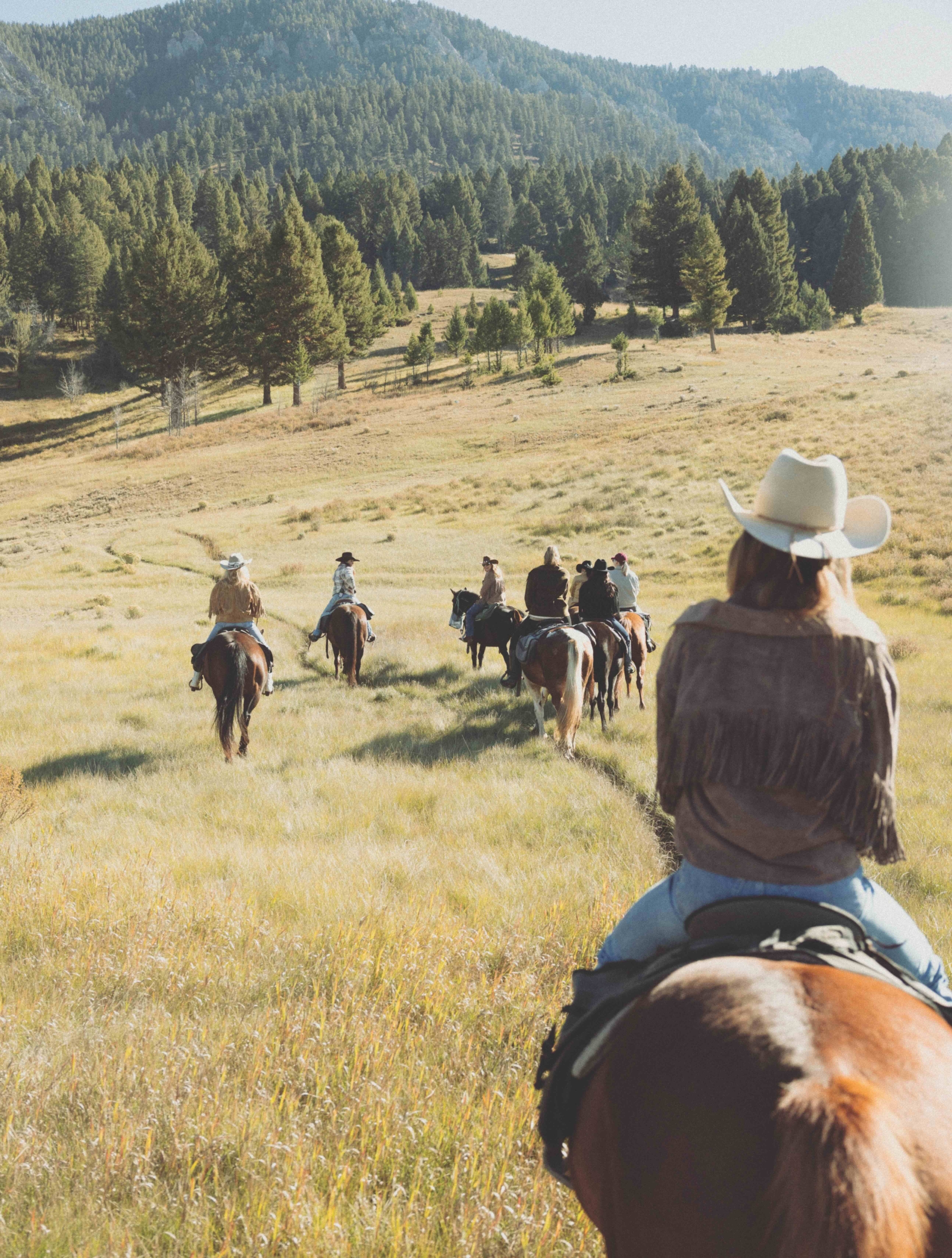 people riding horses on a trail overlooking a forest