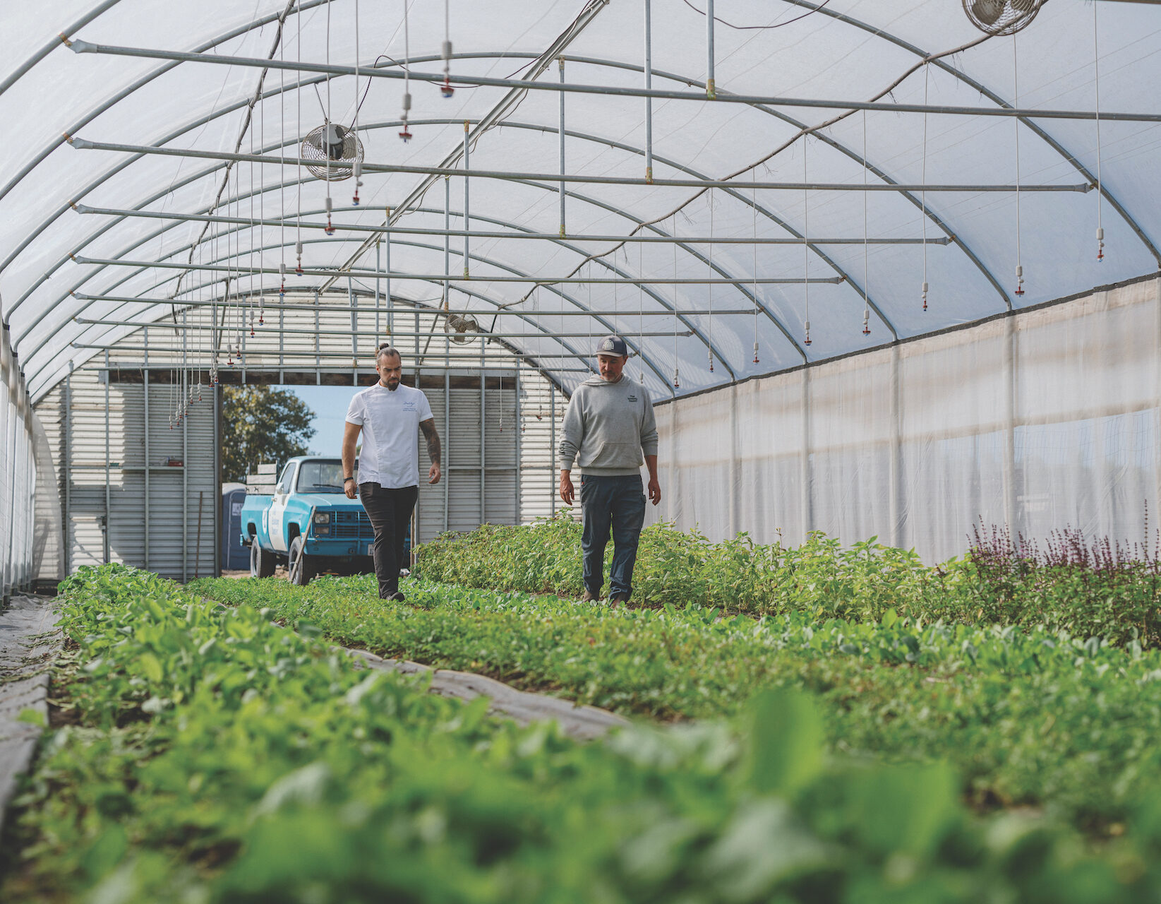 two men walking in an indoor garden