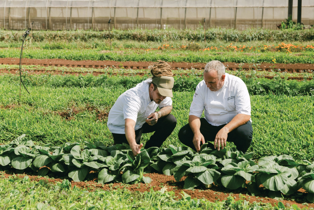 Two men gardening