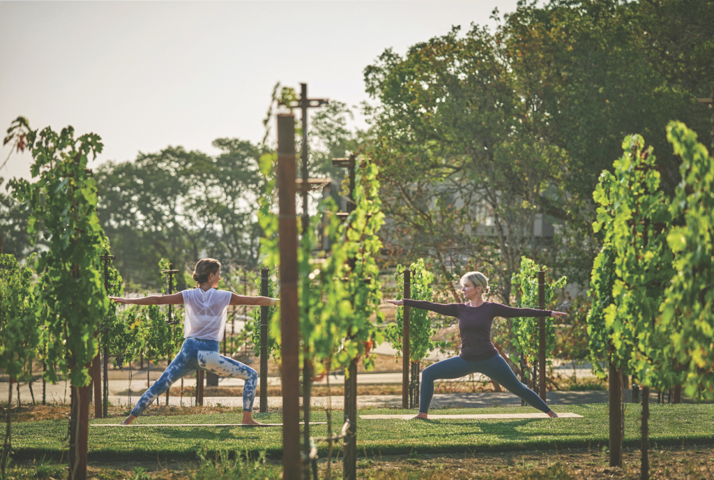 Two women doing yoga in a vineyard