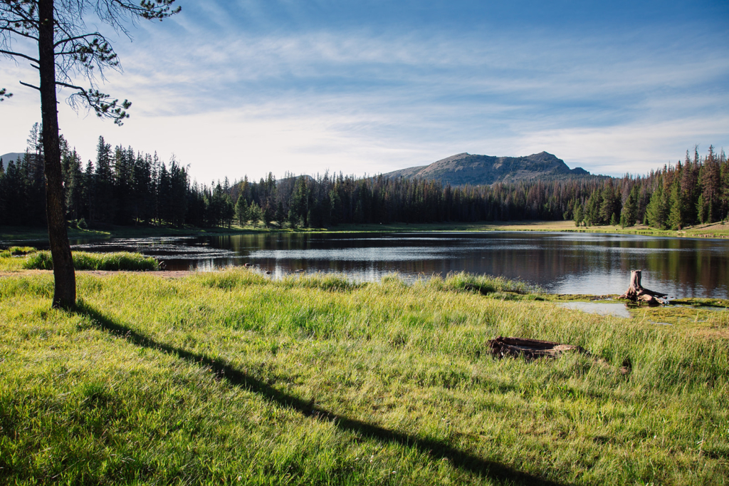 The Bear River at Uinta National Forest