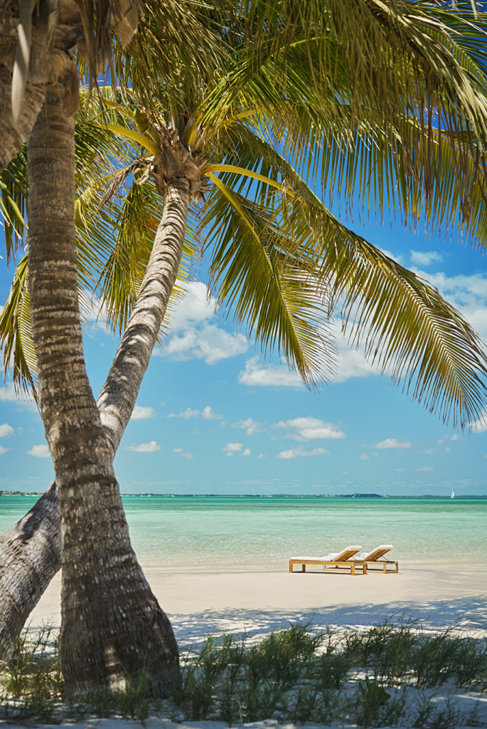 Two chairs sitting on the beach